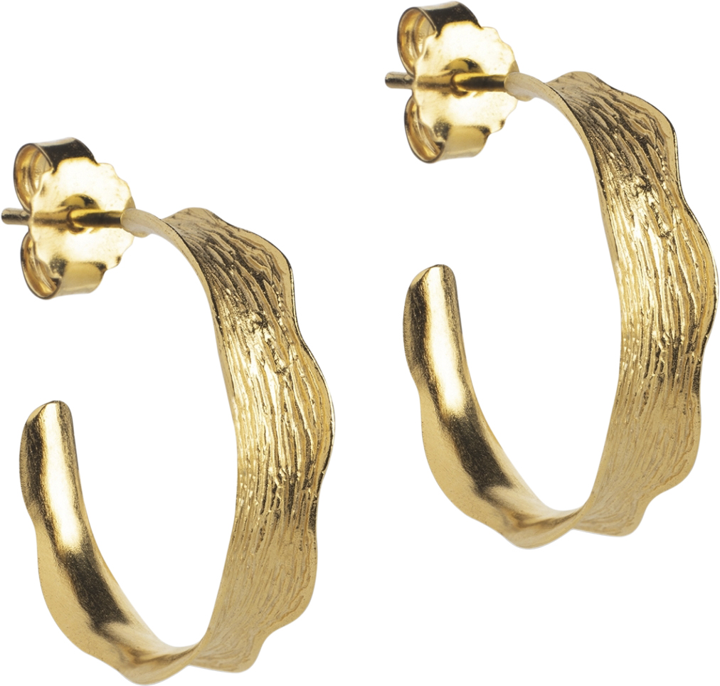 Hoops  Ane Small